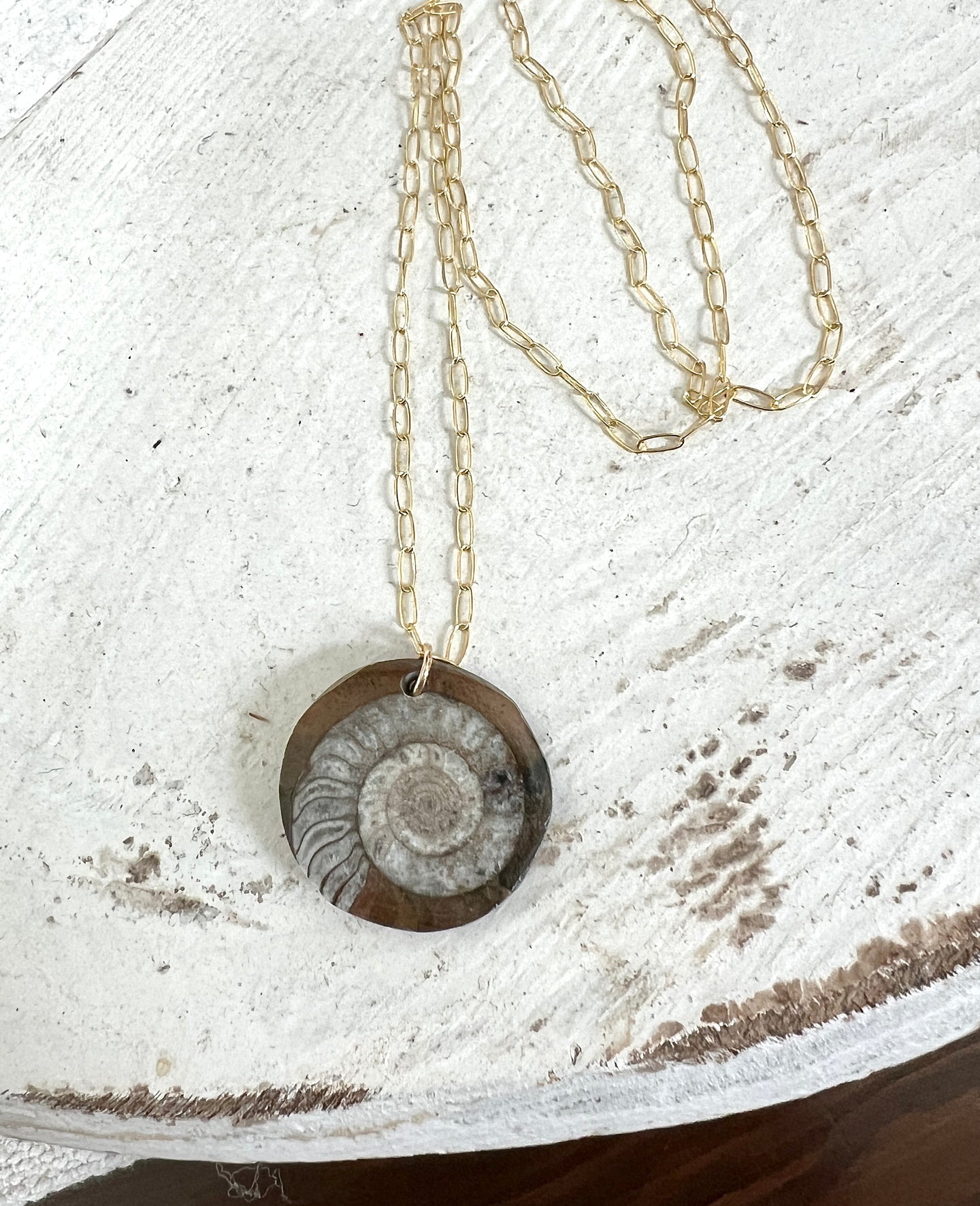 Ammonite Medallion Necklace