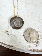 Load image into Gallery viewer, Ammonite Medallion Necklace