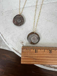Ammonite Medallion Necklace